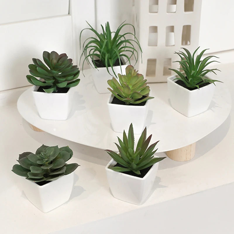 Kit Vasinho Decorativo com Suculentas