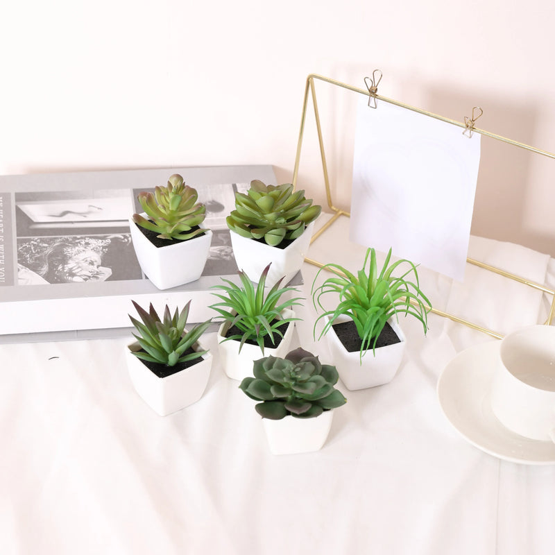 Kit Vasinho Decorativo com Suculentas